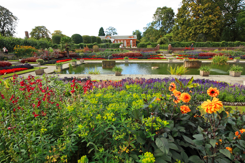 landscape design Garden