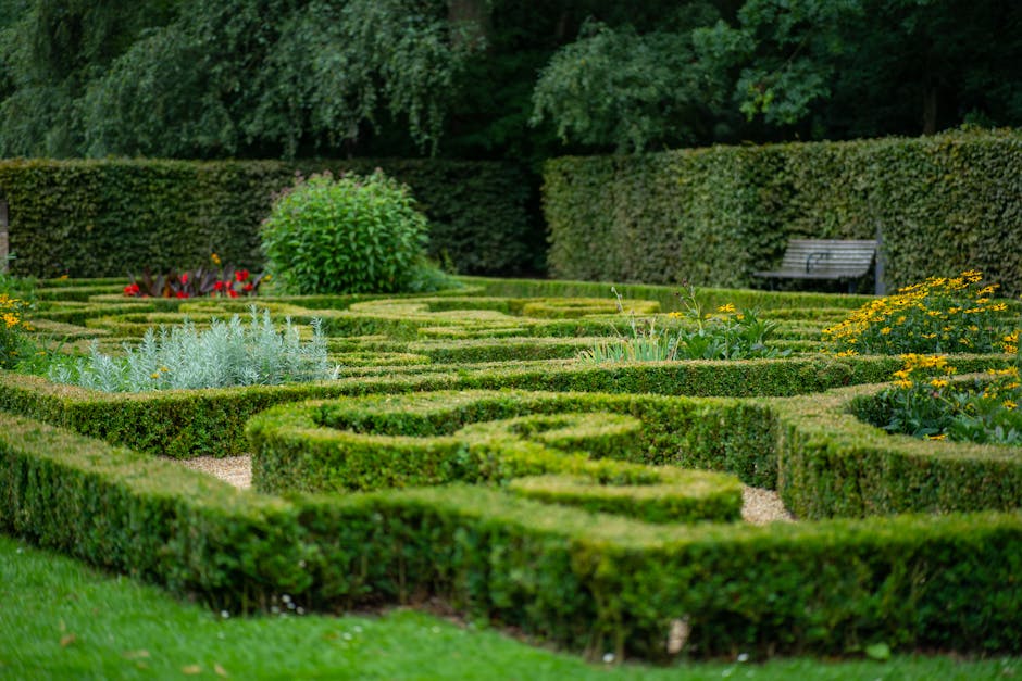 A neatly maintained formal garden featuring a symmetrical layout of low, trimmed boxwood hedges forming intricate geometric patterns over a grassy area. In the background, a lush green bush and mature trees create a natural border, with a backdrop of dense foliage. To the right, a black garden bench is positioned near a dense hedge. The garden beds contain flowering plants with yellow and red blossoms, contrasting with the dark green foliage. The pathways between the hedges are covered with fine gravel, and the overall scene is illuminated by soft, natural daylight, highlighting the textures of the neatly clipped hedges, vibrant flowers, and smooth grass, creating an orderly and tranquil outdoor space. Gardeners Uxbridge might perform routine maintenance such as hedge trimming and lawn care to preserve this tidy appearance.