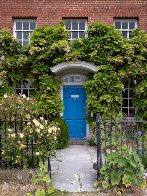 A quaint garden entrance featuring a vibrant blue front door set within a red brick building. Surrounding the door are lush, dense green foliage including climbing plants and flowering shrubs, creating a natural canopy above the doorway. The garden path is paved with concrete slabs leading to the doorstep, bordered by flowering plants with white and pink blooms and a small green hedge. A black wrought iron gate and fence frame the garden entrance, with some leaves and flowers spilling over. The overall scene is illuminated by natural daylight, highlighting the textures of the plants, the smooth bricks, and the bright color of the door, reflecting a well-maintained and inviting outdoor space suitable for garden maintenance and landscaping work by local gardeners Uxbridge, as featured in the UB8 front garden upgrades project.